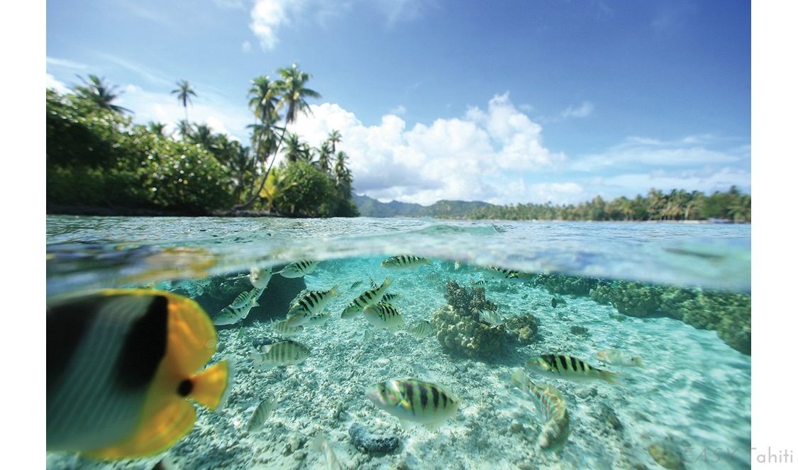 snorkeling à Tahaa en Polynésie