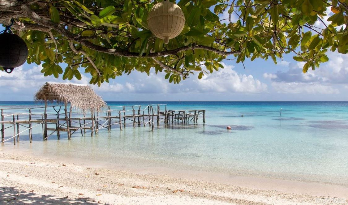 profitez du lagon en pension de famille romantique à Tikehau pour votre voyage en polynésie