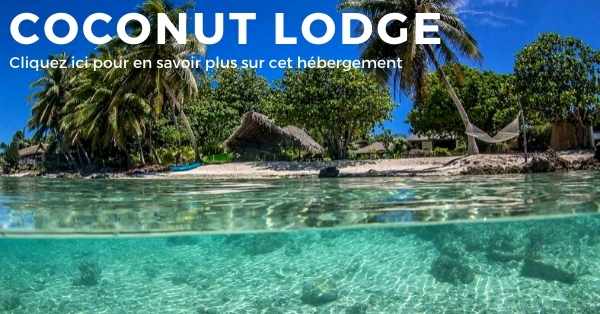 Le Coconut Lodge sur l'ile de Rangiroa en Polynésie
