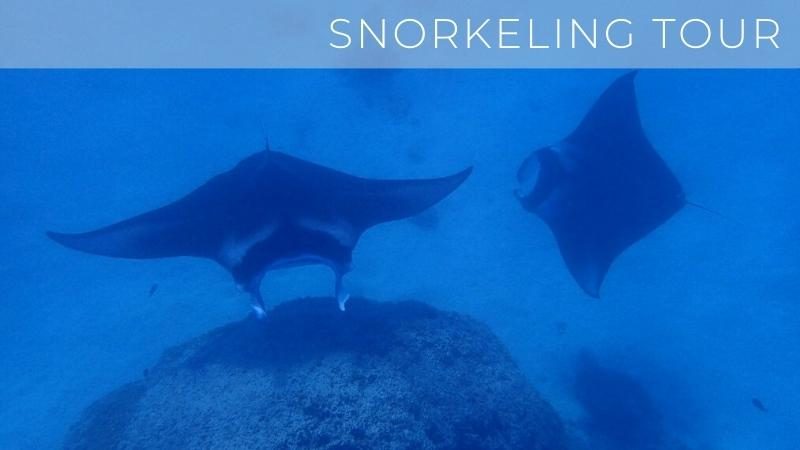 snorkeling tour half day in Bora Bora
