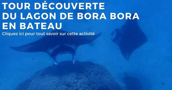 tour decouverte du lagon de l’ile de Bora Bora en Polynésie